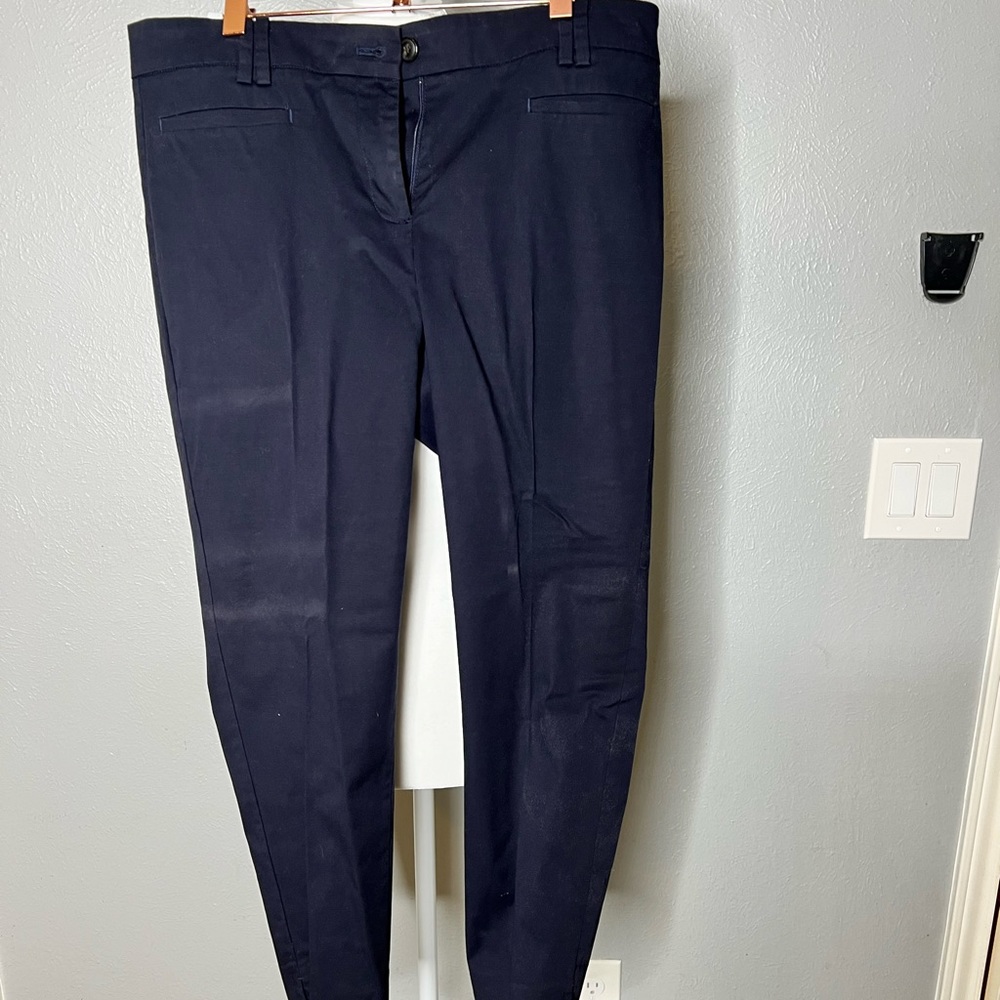 Navy Ann Taylor skinny leg pants